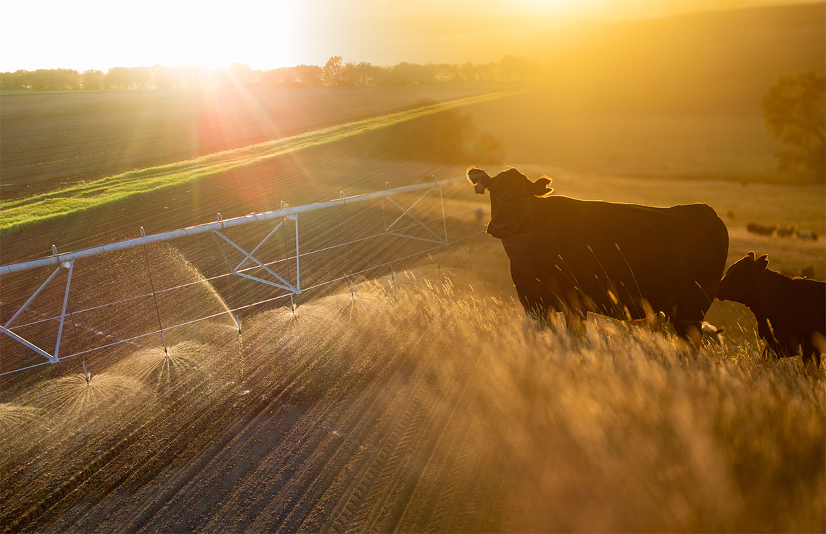 1764234041411397.png 1764234041411397.png