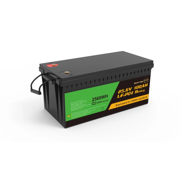 SCLFP-24V-100