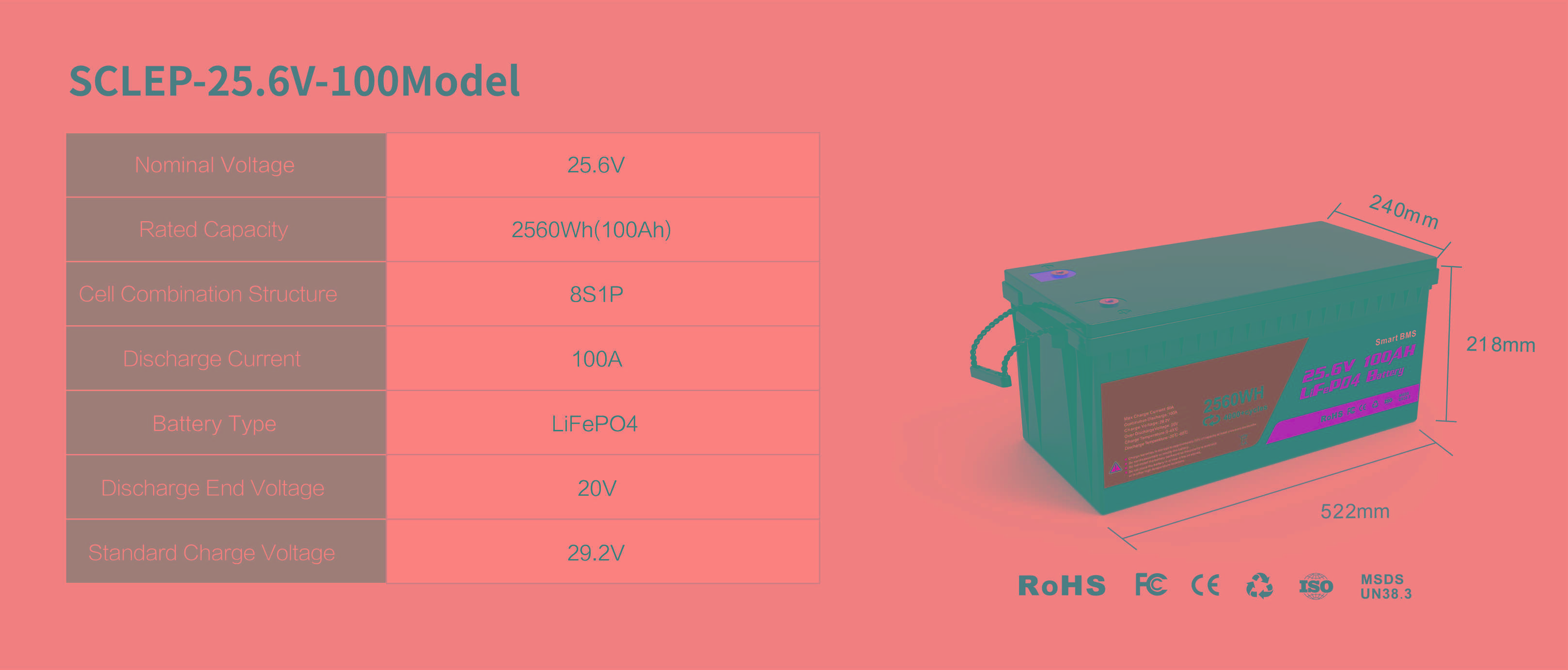 25.6V 100AH.jpg