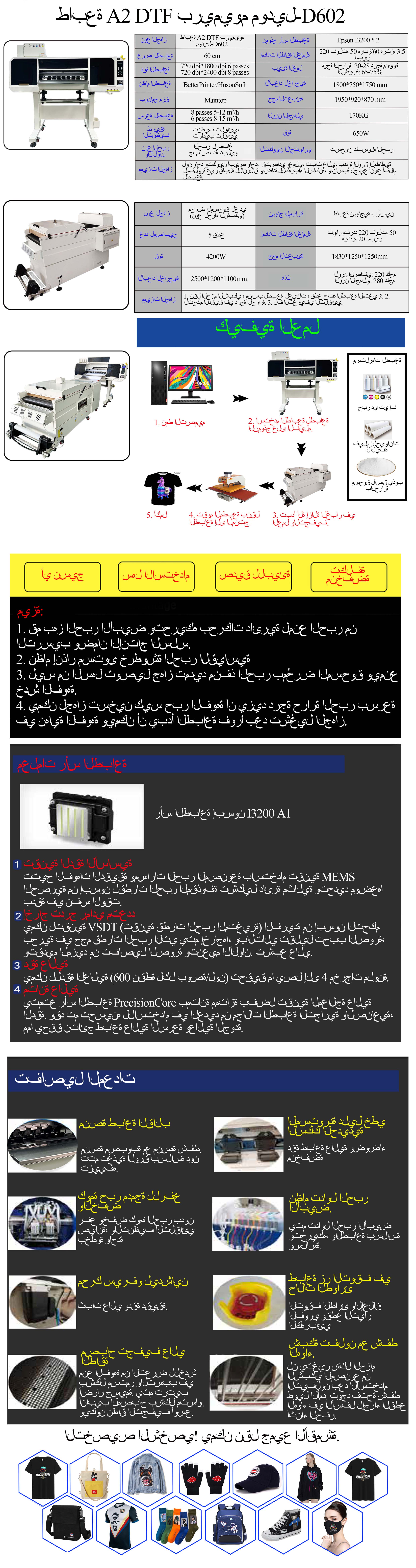 D602 阿语 网站.jpg