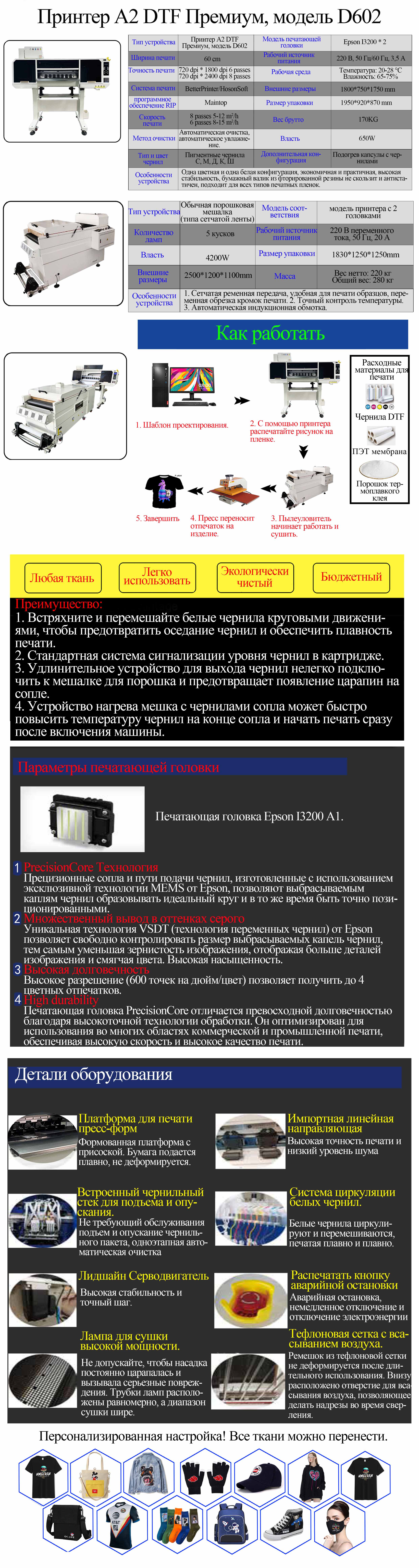 D602 俄语 网站.jpg