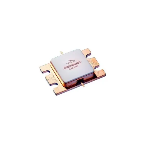 CGHV96100F2 MACOM Discrete Semiconductors