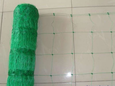 Climbing Mesh for plants