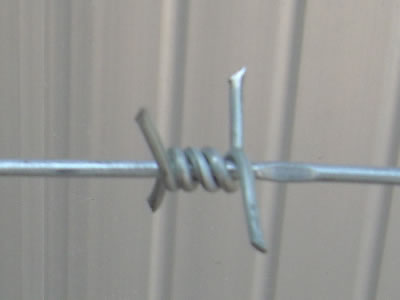 Single Twist Barbed Wire