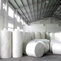 Toilet Paper Jumbo Roll