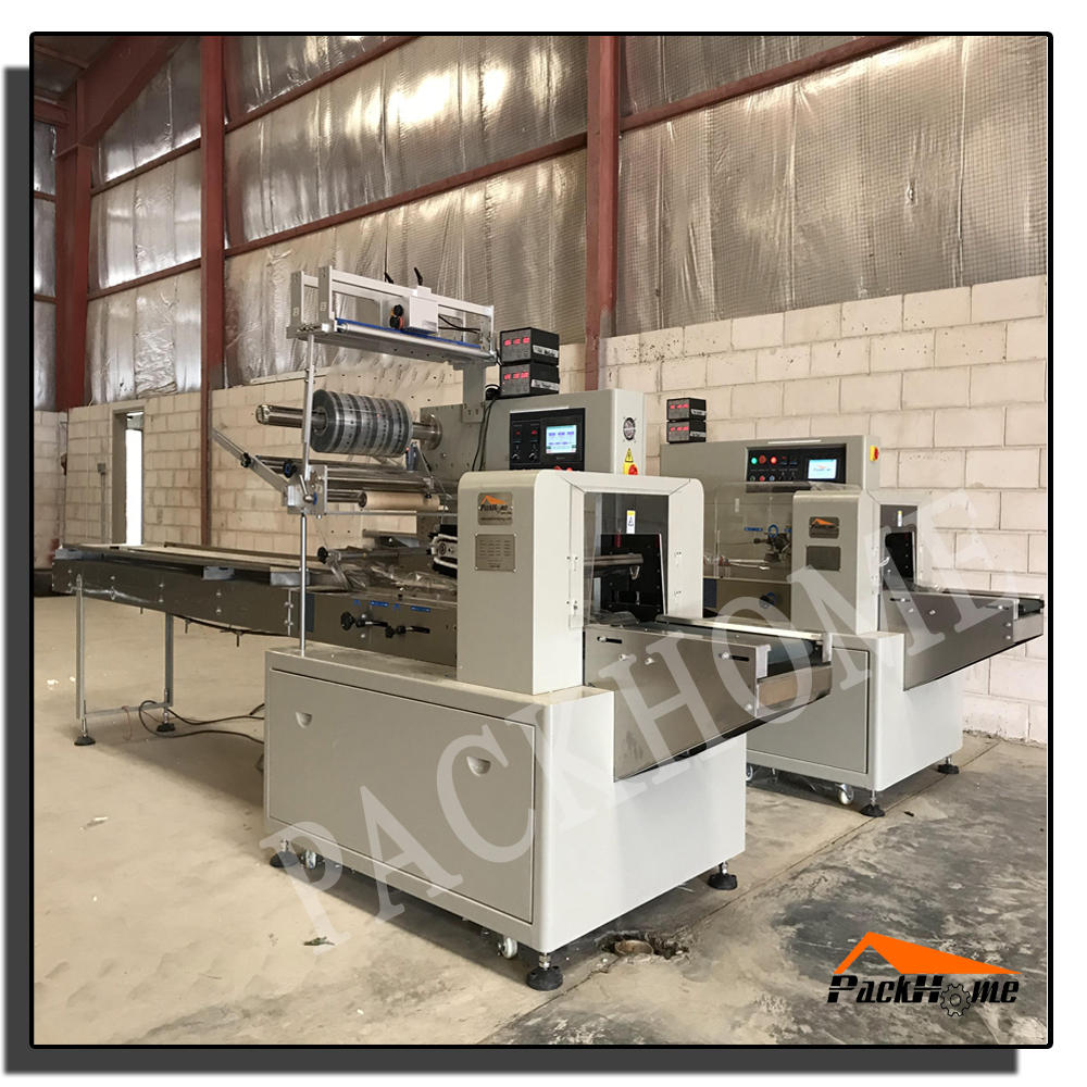 Saudi Arabia project- Vegetable Horizontal Packing Machine