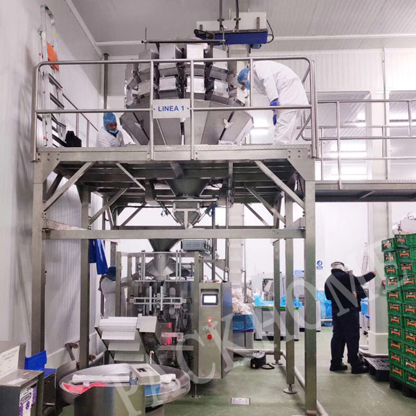 Spain project- Frozen chicken wing packing machine