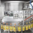 Full Automatic Spout Bag Juice Filling Capping Machine