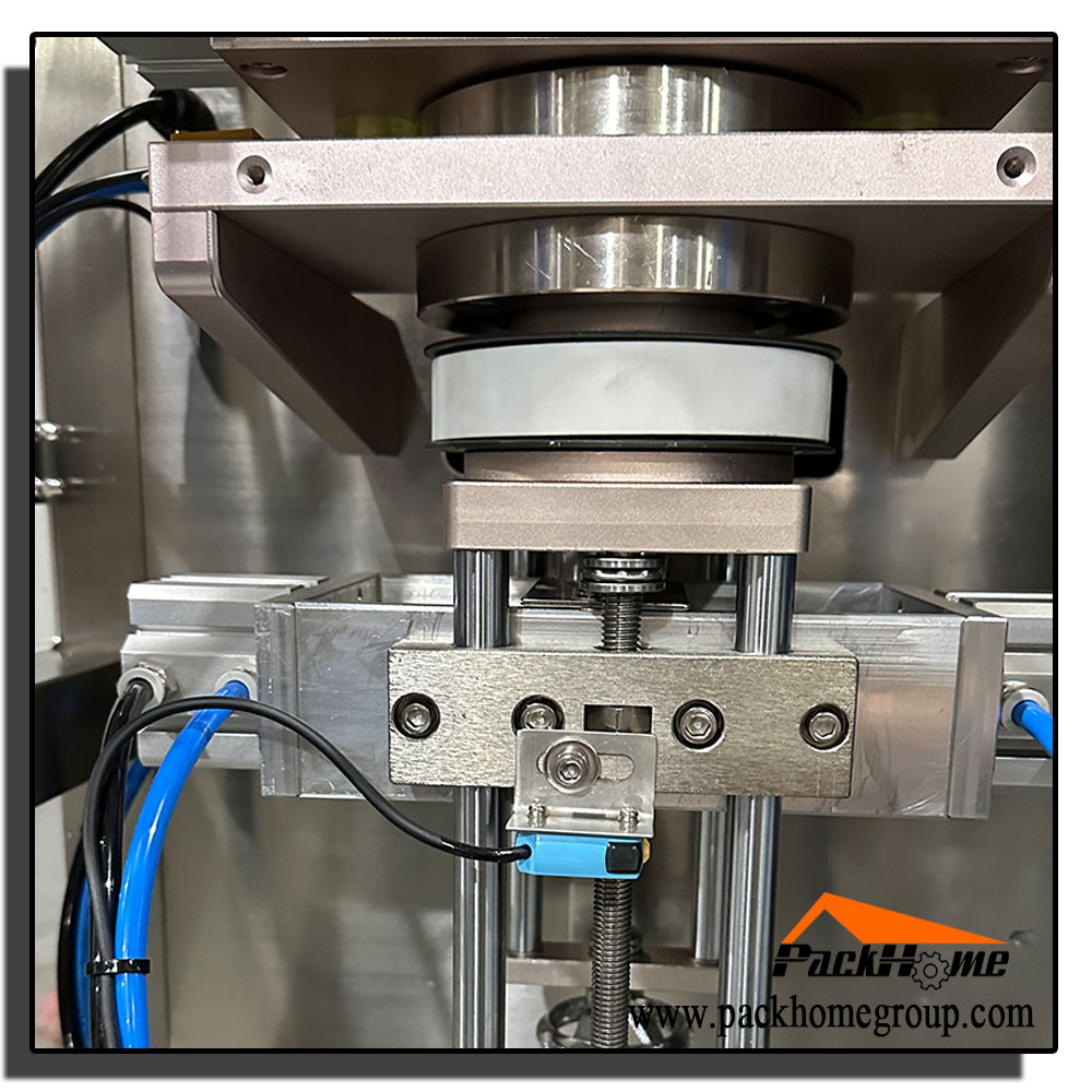 Servo Pyramid Bag Filling Packing Machine