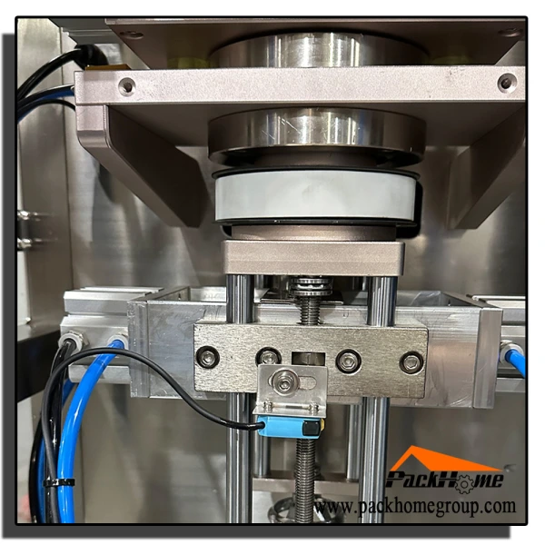 Servo Pyramid Bag Filling Packing Machine