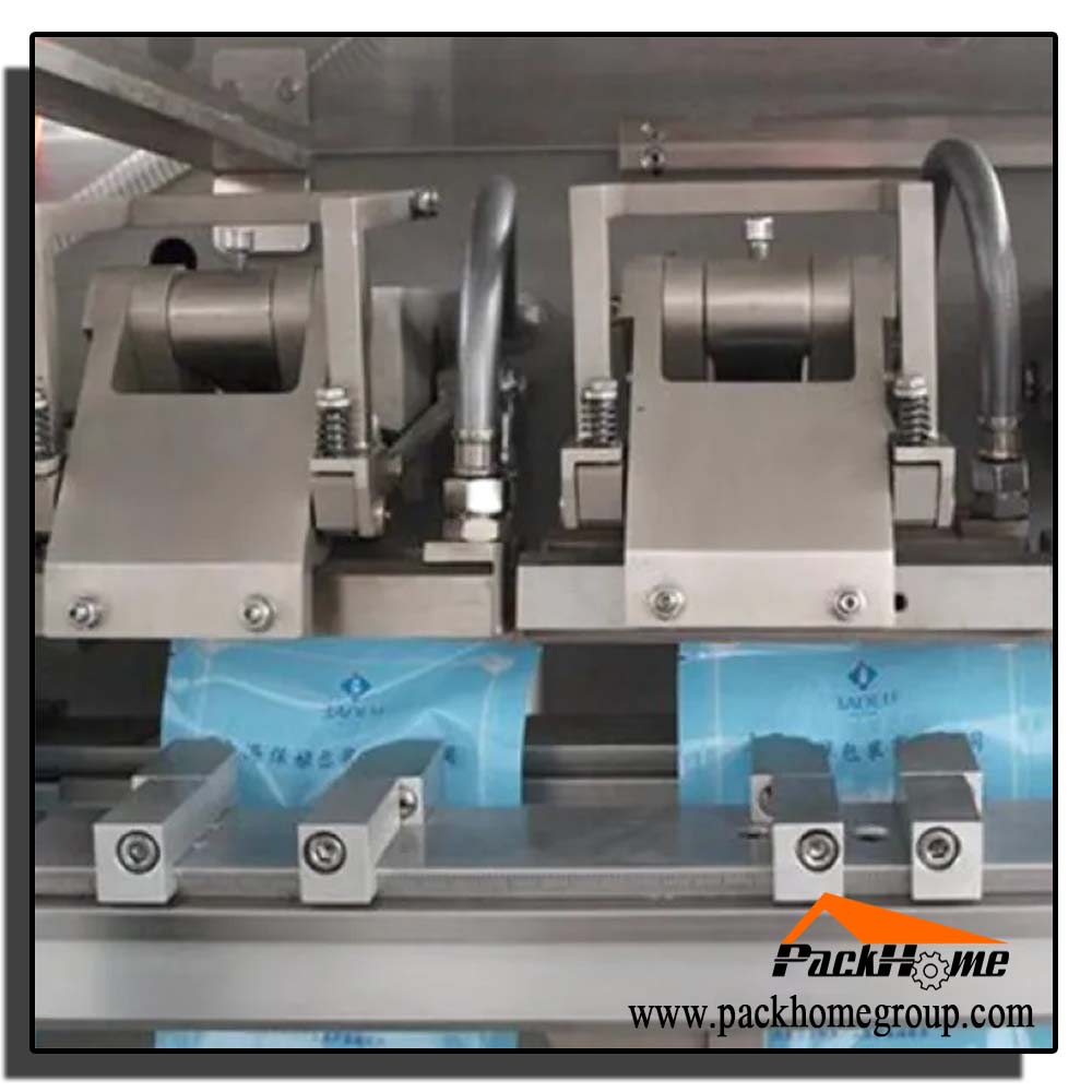 Horizontal Spout Bag Form Fill Seal Machine | HFFS Machine