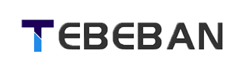 Tebeban car video car dvd player car radio auto electronics