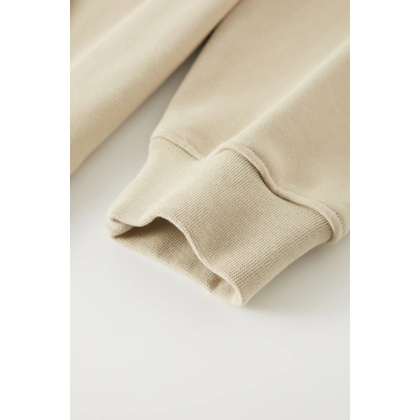 TTgarment Men's DTF Print Hoodie TSH001