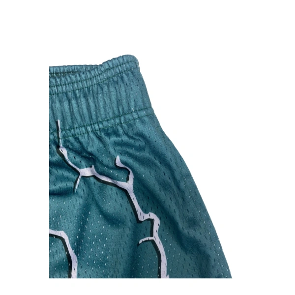 TTgarment  High-street style color-blocked printed mesh athletic shorts, loose and casual five-quarter length pants    U446