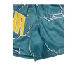 TTgarment  High-street style color-blocked printed mesh athletic shorts, loose and casual five-quarter length pants    U446