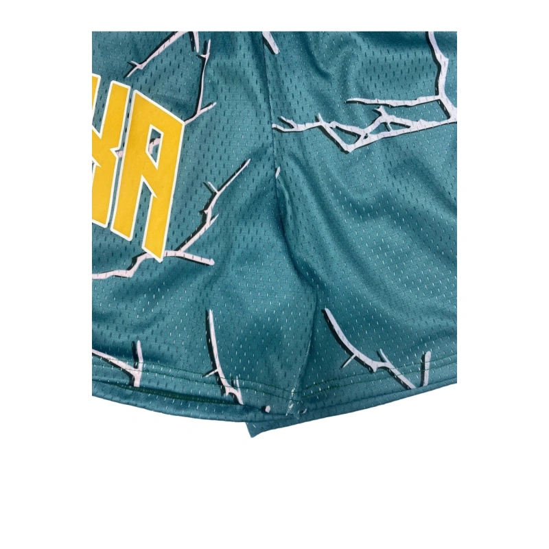TTgarment  High-street style color-blocked printed mesh athletic shorts, loose and casual five-quarter length pants    U446