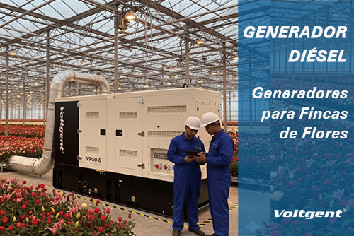 Energía Confiable para Cada Flor en una Finca de Flores y Paisajismo