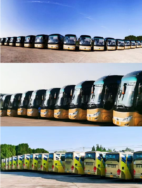 main title main title