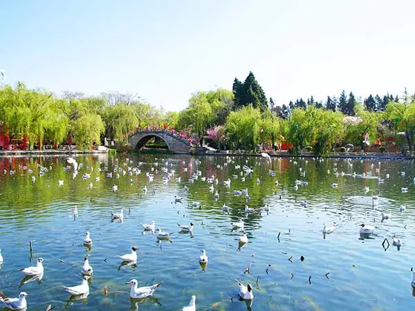 4 Days Kunming and Stone Forest Tour