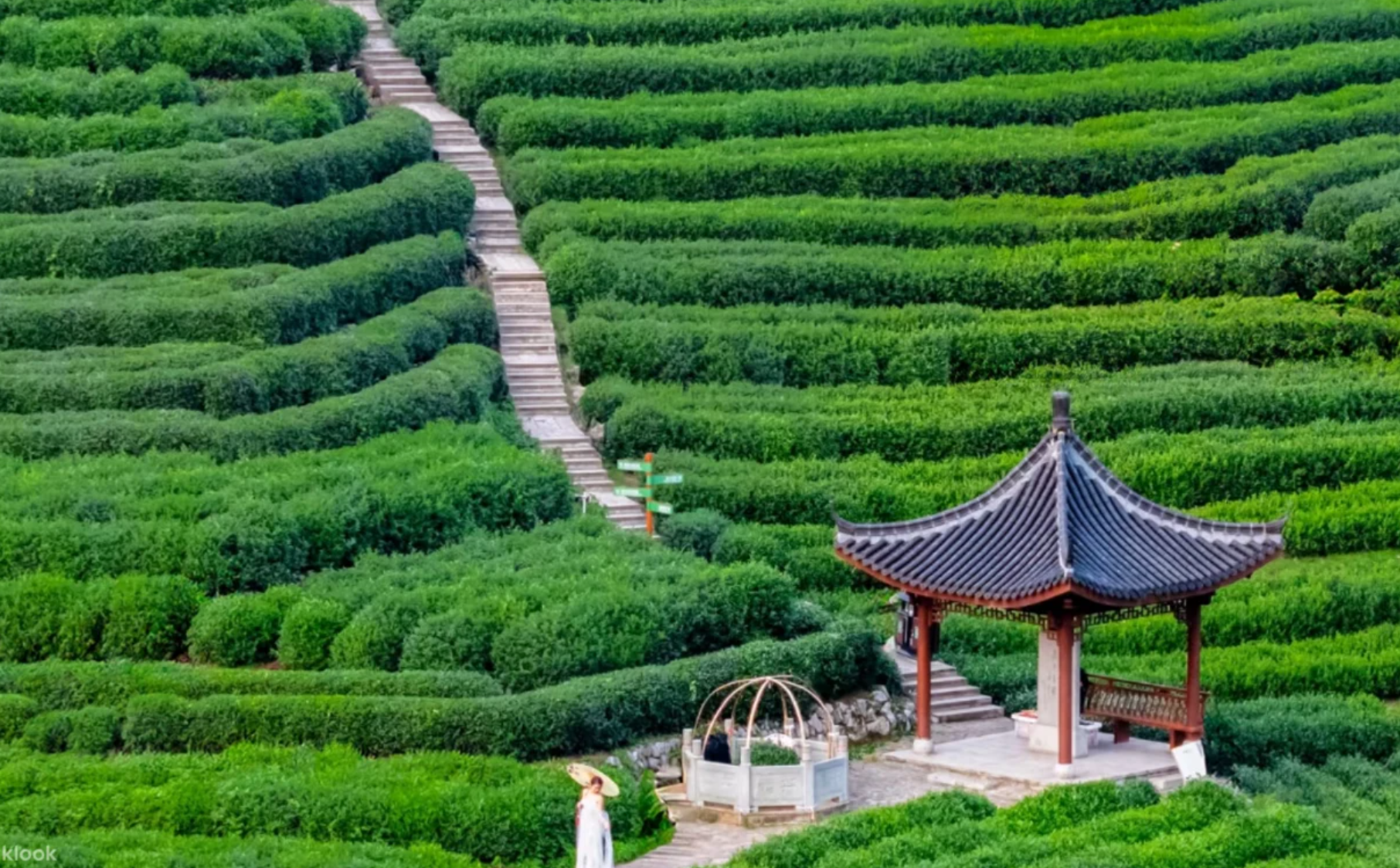 6 Days Classic Jiangnan Discovery Tour