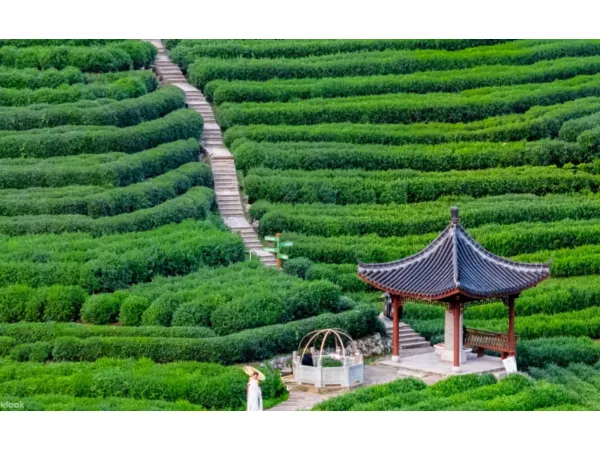 6 Days Classic Jiangnan Discovery Tour