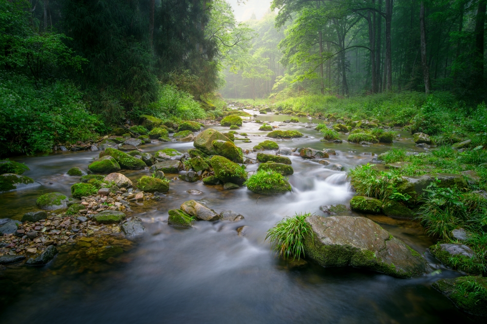 6 Days Amazing Zhangjiajie Discovery Tour