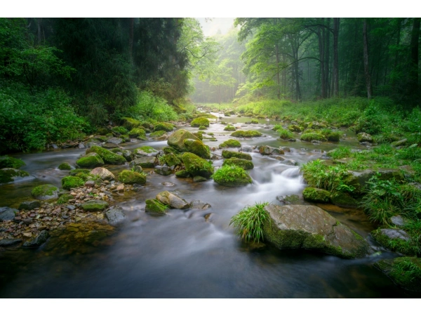 6 Days Amazing Zhangjiajie Discovery Tour