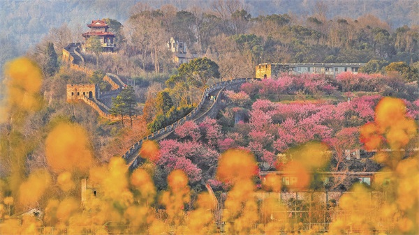  8 Days Shanghai · Nanjing · Taizhou Private Tour