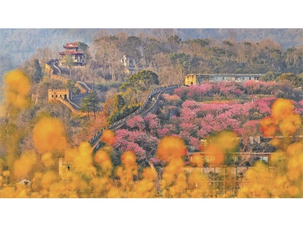  8 Days Shanghai · Nanjing · Taizhou Private Tour