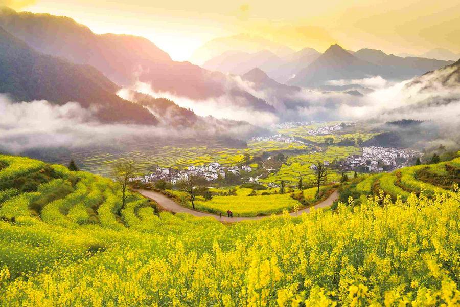 Ink & Mist · Immersive Jiangxi 6-Day, 5-Night Luxury Aesthetic Journey