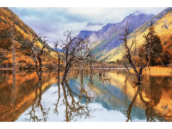 6D5N Chengdu: Dagu Glacier & Mt. Siguniang Premium Tour