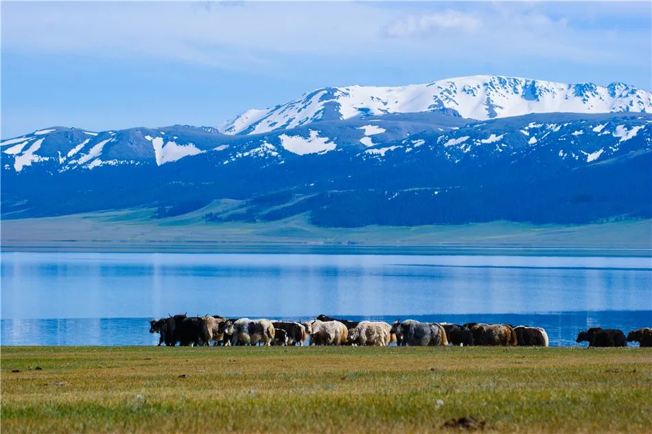 The Sacred Silk Road:12-Day Grand Xinjiang Halal Odyssey