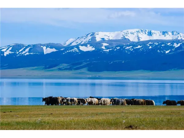 The Sacred Silk Road:12-Day Grand Xinjiang Halal Odyssey