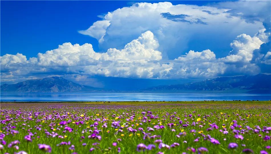 The Sacred Silk Road:12-Day Grand Xinjiang Halal Odyssey