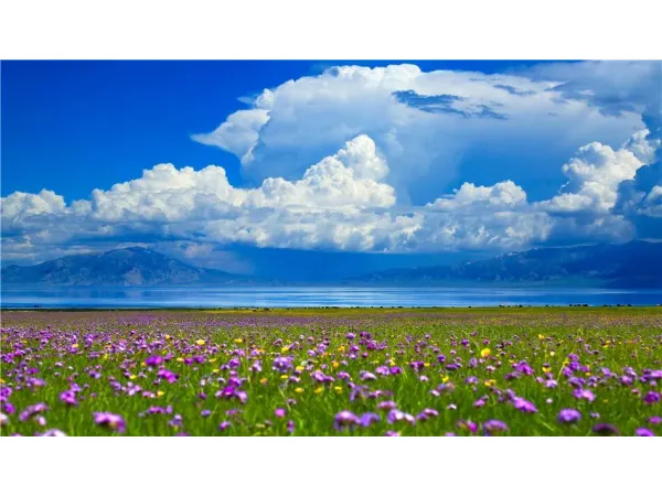 The Sacred Silk Road:12-Day Grand Xinjiang Halal Odyssey