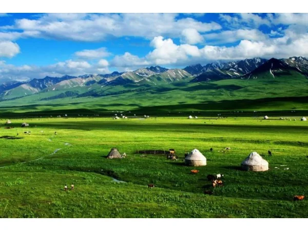 The Sacred Silk Road:12-Day Grand Xinjiang Halal Odyssey