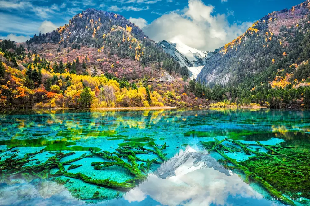 6D5N Chengdu & Jiuzhaigou Muslim Premium Tour