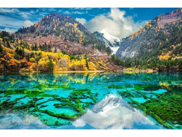 6D5N Chengdu & Jiuzhaigou Muslim Premium Tour