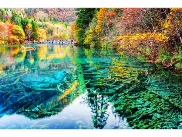 6D5N Chengdu & Jiuzhaigou Muslim Premium Tour