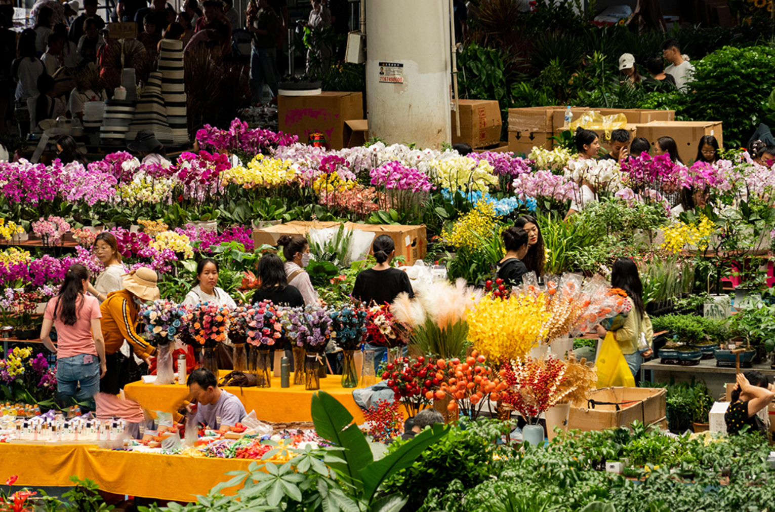 8D7N Dream of Shangri-La & YunnanPremium Tour