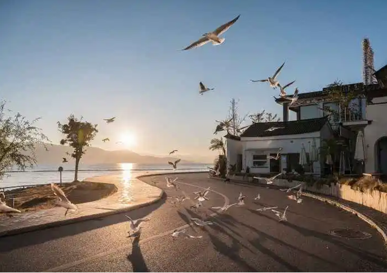 8D7N Dream of Shangri-La & YunnanPremium Tour