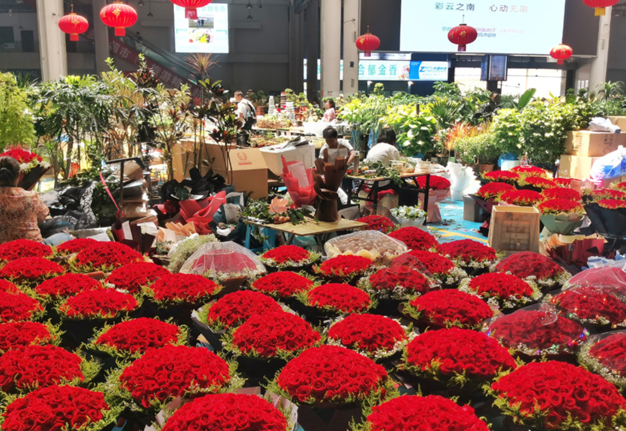 China Yunnan 6D5N Muslim Premium Tour