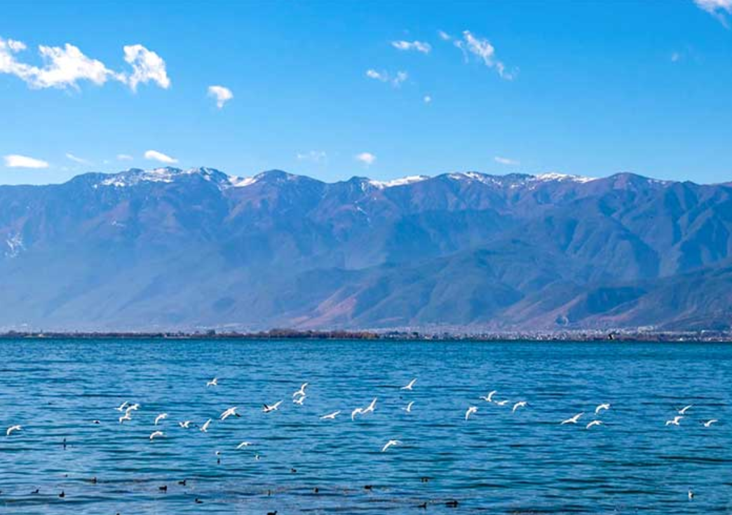 China Yunnan 6D5N Muslim Premium Tour