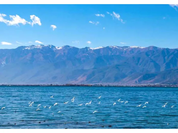 China Yunnan 6D5N Muslim Premium Tour