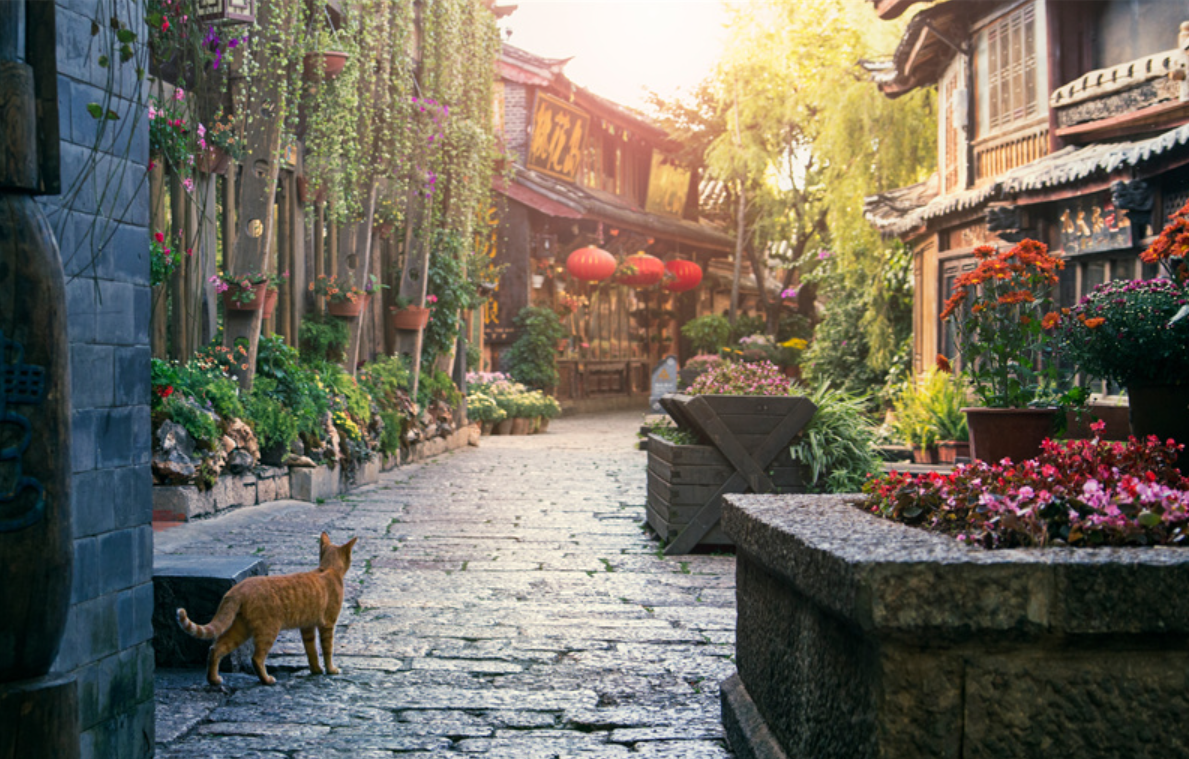 China Yunnan 6D5N Muslim Premium Tour