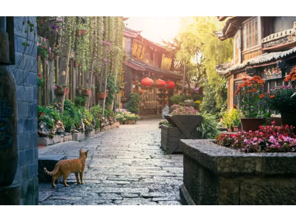 China Yunnan 6D5N Muslim Premium Tour