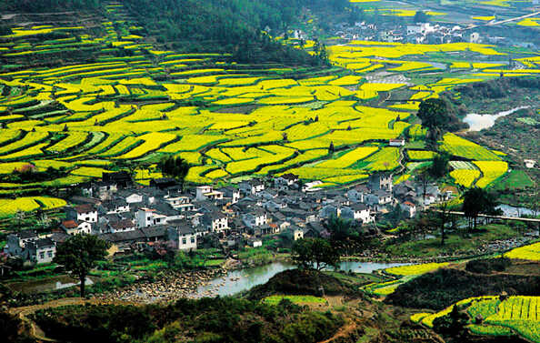  Anhui · Huangshan · Wuyuan  Bespoke Journey  7D6N				