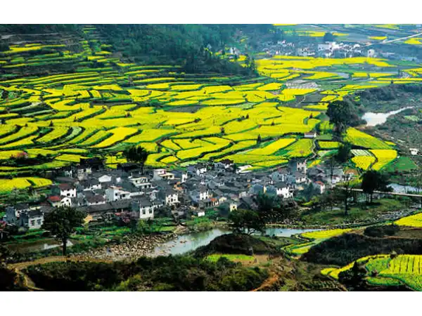  Anhui · Huangshan · Wuyuan  Bespoke Journey  7D6N				