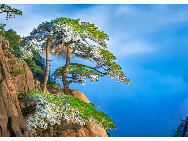  Anhui · Huangshan · Wuyuan  Bespoke Journey  7D6N				