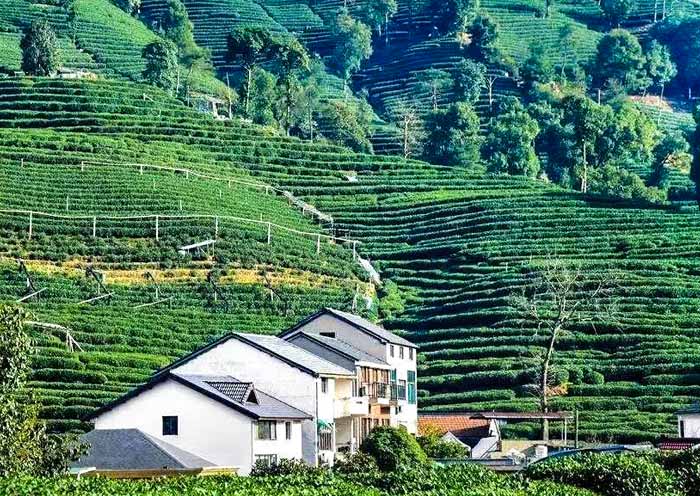  Anhui · Huangshan · Wuyuan  Bespoke Journey  7D6N				